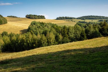 Yeşil tarlaları ve ormanları olan kırsal alan. Yaz mevsimi. Yüksek kalite fotoğraf