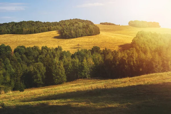 Landelijk Landschap Met Groene Velden Bossen Zomertijd Hoge Kwaliteit Foto — Stockfoto