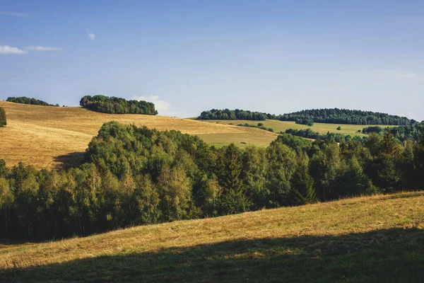 Vidéki Táj Zöld Mezőkkel Erdőkkel Nyári Szezon Kiváló Minőségű Fénykép — Stock Fotó