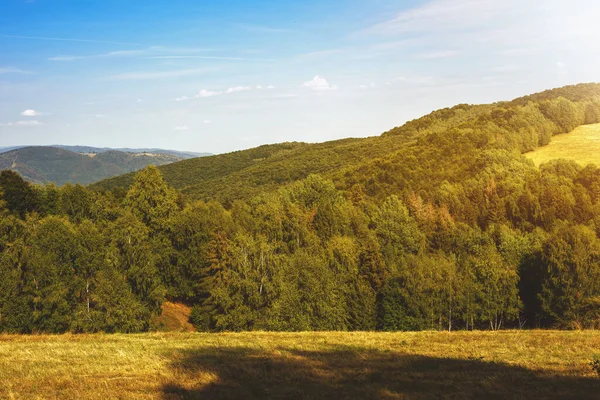緑のフィールドや森林と農村風景 夏のシーズン 高品質の写真 — ストック写真