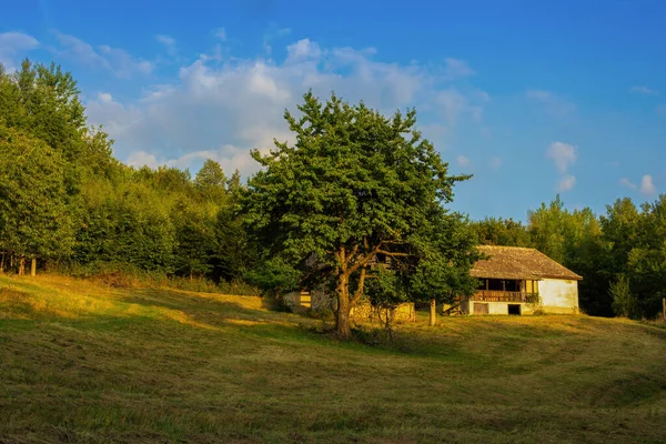 Oud Boerenhuis Een Prachtige Natuurlijke Omgeving Hoge Kwaliteit Foto — Stockfoto