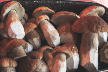 Mutfaktaki tepside taze mantar var. Yüksek kalite fotoğraf