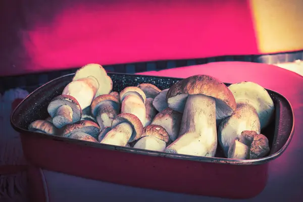 Champiñones Porcini Frescos Una Bandeja Cocina Foto Alta Calidad — Foto de Stock