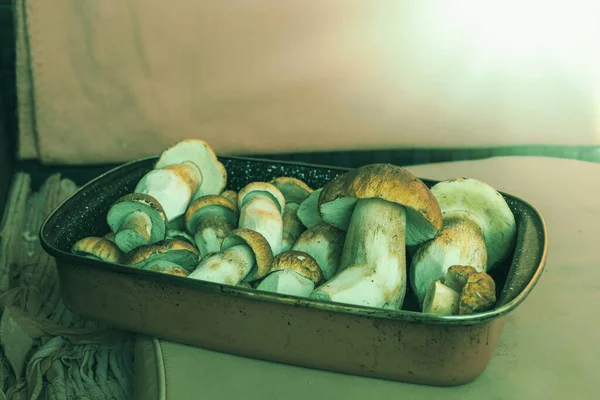 Champiñones Porcini Frescos Una Bandeja Cocina Foto Alta Calidad — Foto de Stock