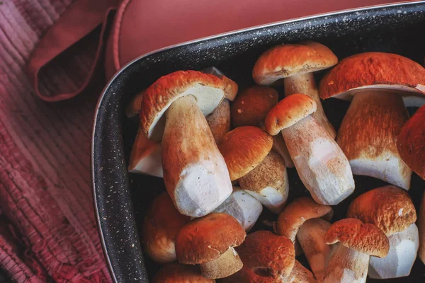 Champiñones Porcini Frescos Una Bandeja Cocina Foto Alta Calidad — Foto de Stock