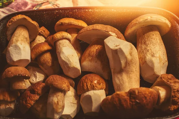 Champiñones Porcini Frescos Una Bandeja Cocina Foto Alta Calidad — Foto de Stock