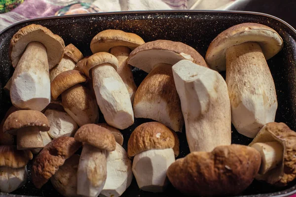 Champiñones Porcini Frescos Una Bandeja Cocina Foto Alta Calidad — Foto de Stock