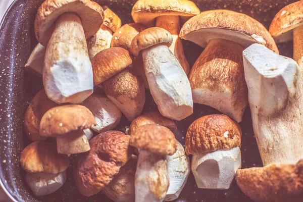 Cogumelos Porcini Frescos Uma Bandeja Cozinha Foto Alta Qualidade — Fotografia de Stock