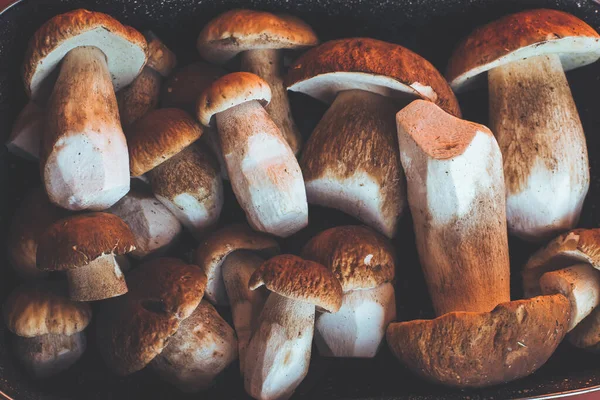 Champiñones Porcini Frescos Una Bandeja Cocina Foto Alta Calidad — Foto de Stock