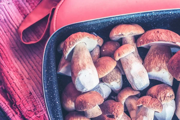 Champiñones Porcini Frescos Una Bandeja Cocina Foto Alta Calidad — Foto de Stock