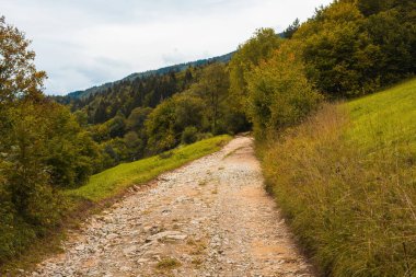 Güzel yeşil çayır ve dağ yolu. Yaz mevsimi. Yüksek kalite fotoğraf.