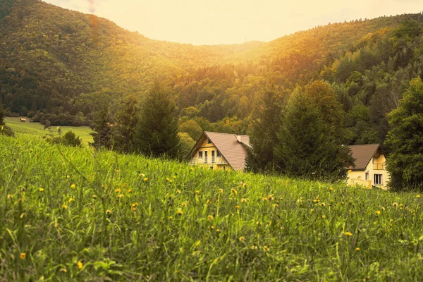 Pajiștea Verde Munte Casă Împrejurimi Naturale Frumoase Lângă Pădure Fotografie — Fotografie, imagine de stoc