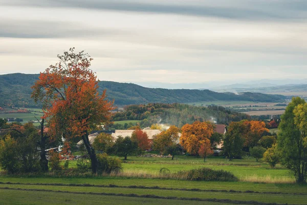 Górski Krajobraz Wiejski Sezonie Jesiennym Wysokiej Jakości Zdjęcie — Zdjęcie stockowe