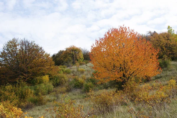 Hilly rural landscape in autumn season. High quality photo