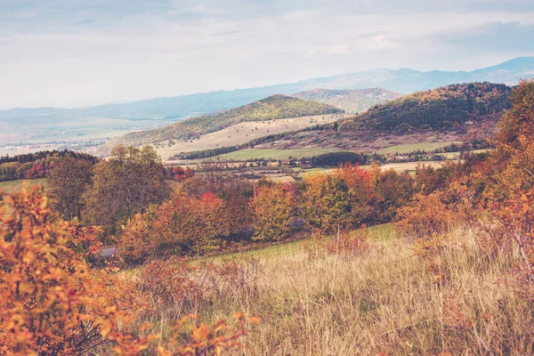 Hilly rural landscape in autumn season. High quality photo