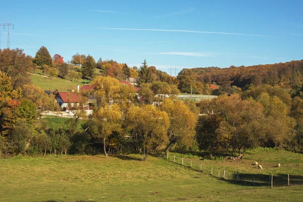 Pascolo Verde Ranch Sunny Giorno Autunno Allevamento Pascolo Campo Foto — Foto Stock