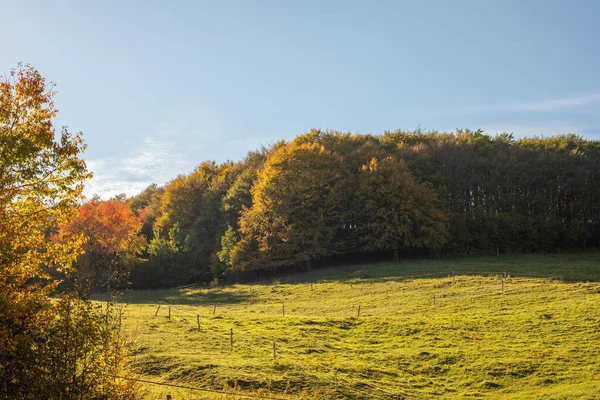 秋の晴れた日には緑の牧草地 高品質の写真 — ストック写真