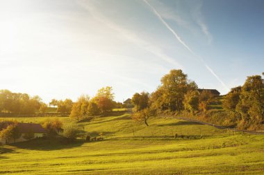 Sonbaharda güneşli bir günde yeşil çayır. Arka planda renkli ağaçlar. Yüksek kalite fotoğraf