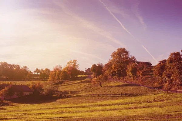 秋の晴れた日には緑の牧草地 高品質の写真 — ストック写真