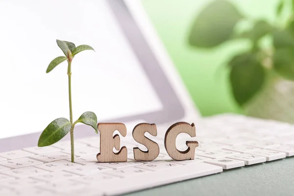 Socialt ansvarsfulla investeringar. ESG, växt, vit laptop. Begreppet hållbart. Grön kredit. — Stockfoto