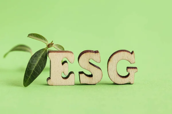 Tahta harfli ESG, taze bitki, yeşil arka plan. Çevresel, sosyal, kurumsal yönetim. Sosyal Sorumluluk Yatırımı. Kavramsal olarak. Yeşil Yatırım — Stok fotoğraf