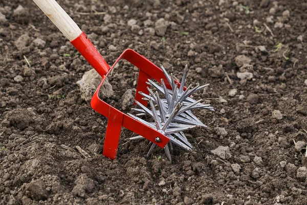 Cultivateur outil manuel efficace pour le travail du sol. — Photo