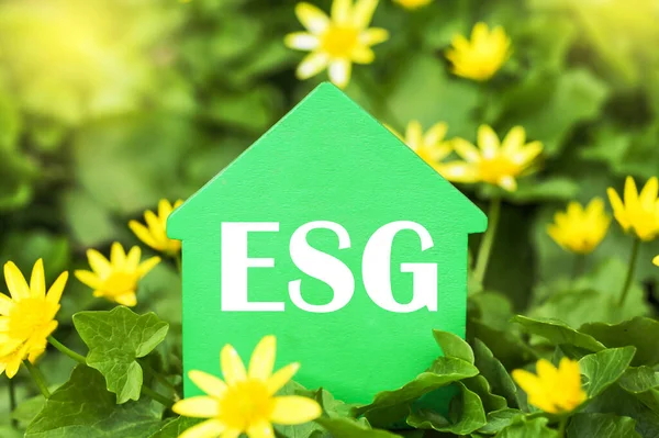 Environmental Social Corporate Governance Esg Green Credit Real Estate Green — Stok fotoğraf