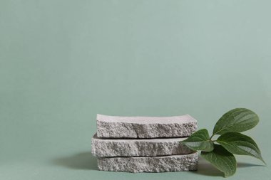 Beton, yeşil yapraklar, yeşil arkaplanda sunum ve kozmetik.