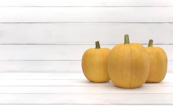 Beyaz ahşap zemin üzerinde sarı balkabağı grubu. Cadılar Bayramı ve Şükran Günü