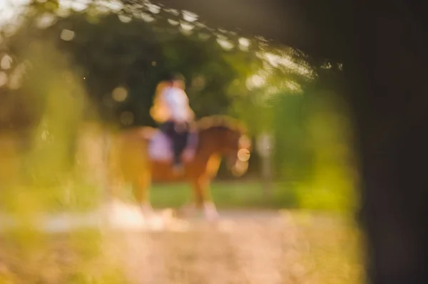 Blurred Background Silhouette Rider Horse — Photo