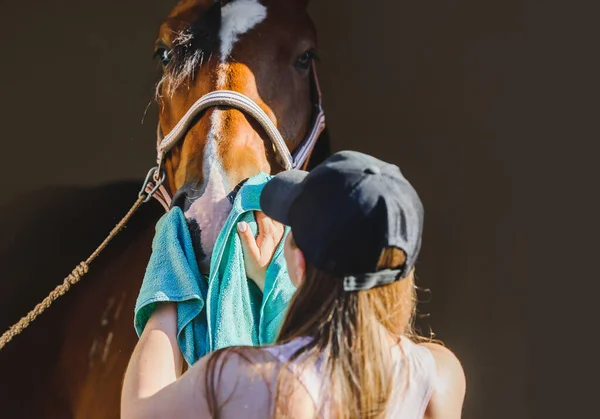 Girl Washes Her Horse Wipes Her Muzzle Cloth Her Nose — Stock Fotó