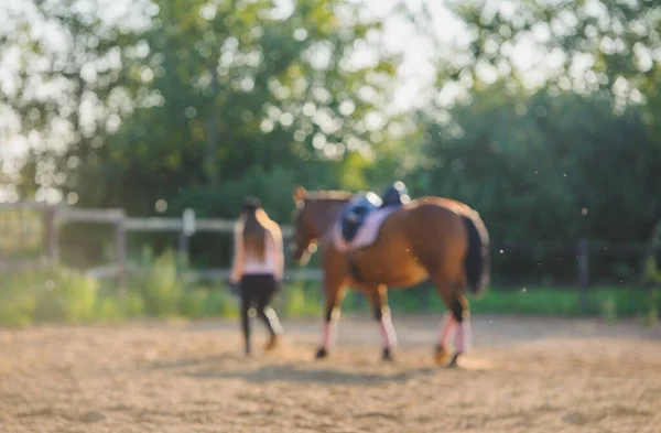 Blurred Background Silhouette Rider Horse Royaltyfria Stockbilder