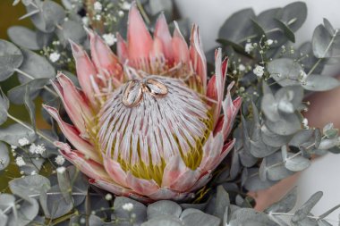 Düğün buketinde Protea çiçeği, ellerinde protea çiçeği buketi.