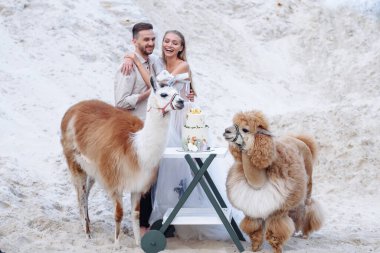 Güzel bir çift gelin ve damat, düğün günü okyanus sahilinde. Mutlu evlilikler.