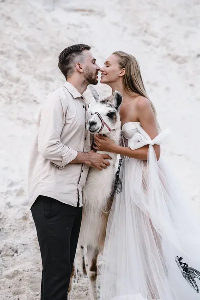 Hermosa boda pareja novia y novio en el día de la boda al aire libre en la playa del océano. Feliz matrimonio. —  Fotos de Stock