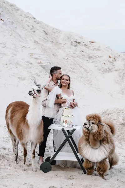 海のビーチで屋外で結婚式の日に美しい結婚式のカップルの花嫁と新郎。幸せな結婚 — ストック写真