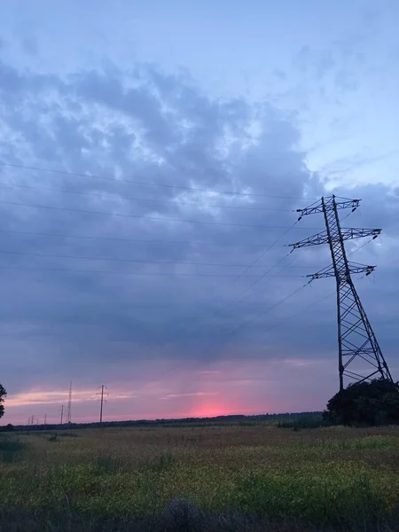 Schöner Sonnenuntergang Auf Dem Feld — Stockfoto