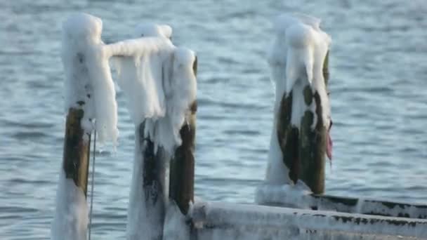 Poller im winterlichen Meer — Stok video