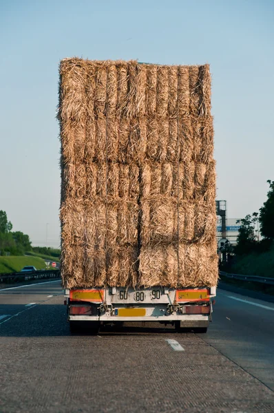 Lastbil med nörd vete — Stockfoto