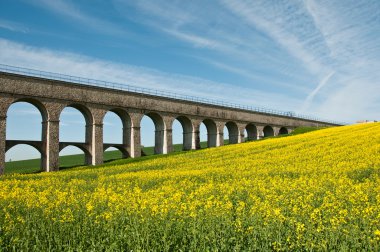Köprü, tecavüz yatay