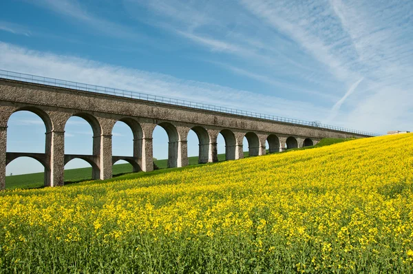 Paisagem de estupro com ponte — Fotografia de Stock