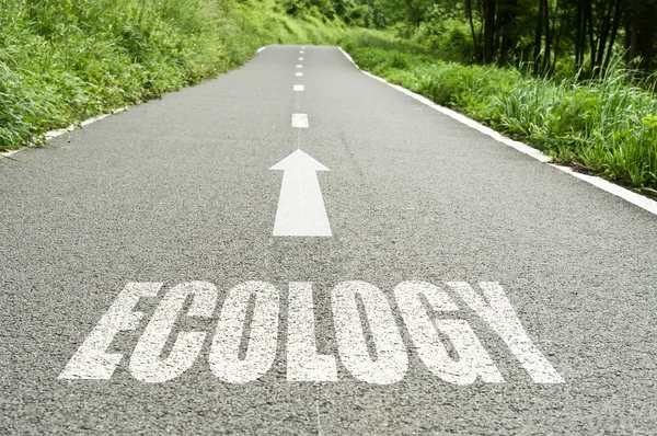 Ecology on the road — Stock Photo, Image