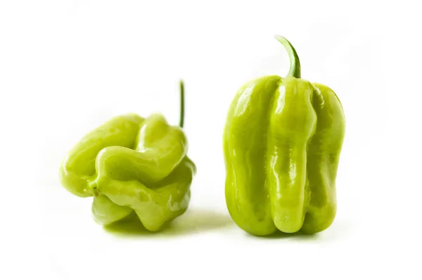 Jamaican peppers — Stock Photo, Image