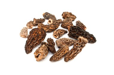 kurutulmuş morels portre
