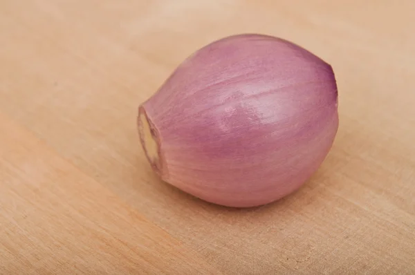 Shallot. — Foto de Stock