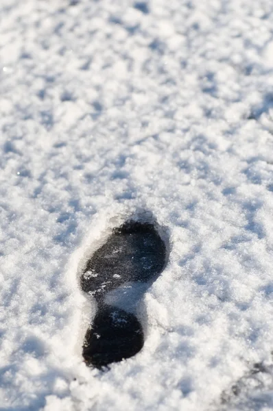 Vinter bakgrund — Stockfoto