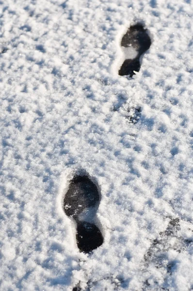 Vinter bakgrund — Stockfoto