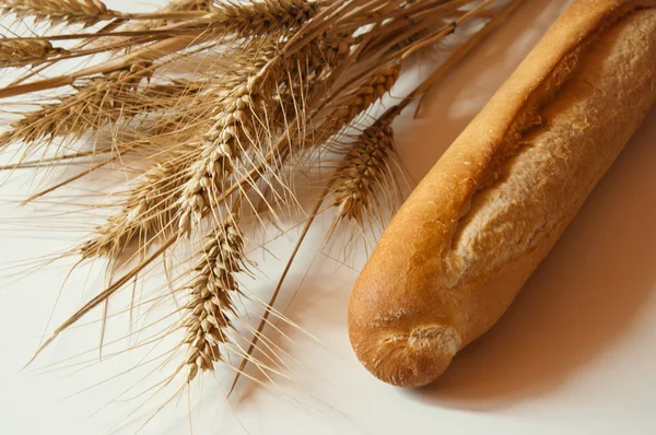 Pane e frumento secco — Foto Stock