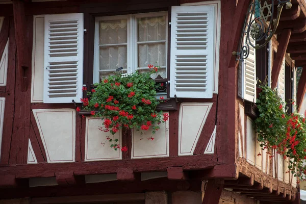 Κλείσιμο Των Κόκκινων Γερανιών Στο Παράθυρο Μιας Πρόσοψης Μεσαιωνικού Σπιτιού — Φωτογραφία Αρχείου