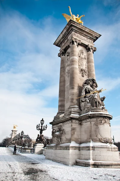 Alexander 3 bridge in paris by winter — Stock Photo, Image